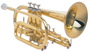 Cornet_transp